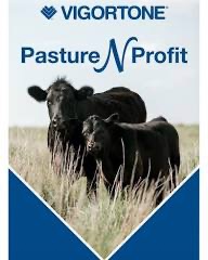 vigortone pasture n profit cattle feed