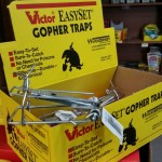 gopher traps