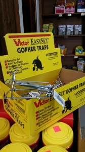 gopher traps