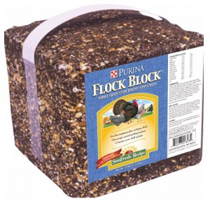 purina flock block