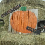 decoration hay
