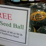 free seed ball