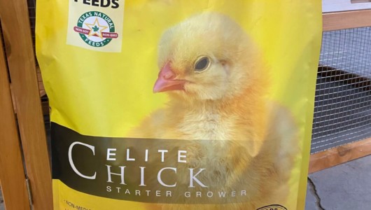 Elite Chick Starter Grower